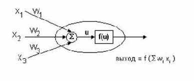 ���������������� �������������� �������