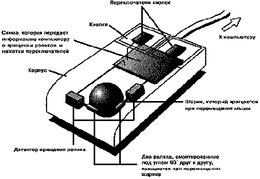 ����������� ����������� � ����