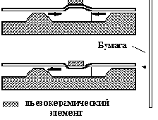 ������������������ �����