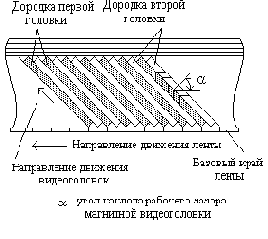 ����������� ��������������