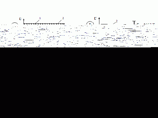 ����������� ��������������