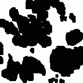 ���������� �����������