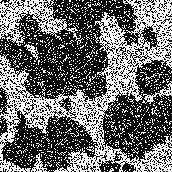 ���������� �����������