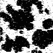 ���������� �����������