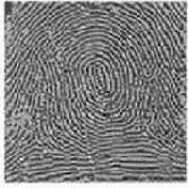 ������������� � ����������� ����������� �����������