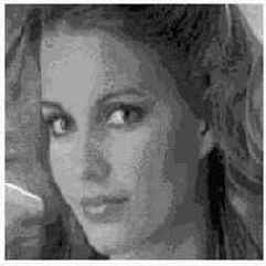 ������������� � ����������� ����������� �����������