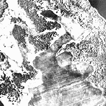 ��������� ����������� �������� ����������� ����� ������������� ��������������