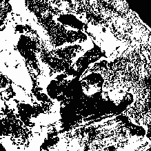 ��������� ����������� �������� ����������� ����� ������������� ��������������