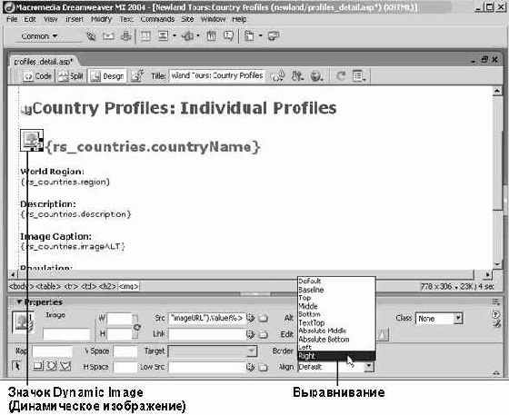 ���������� ������������ ����������� � �������������� ����������� ���������