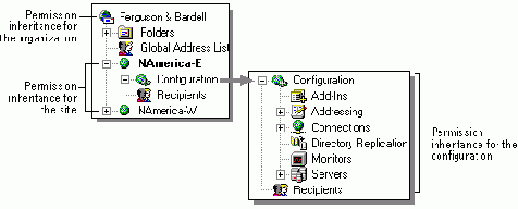 ����� ������������ ����������