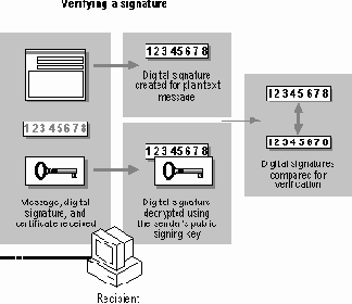 �������� �������� �������