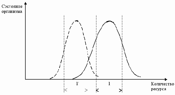 ������������ �����������������