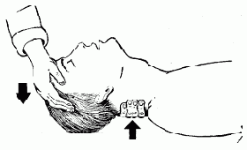 ������������ �����������������