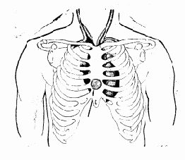 ������������ �����������������