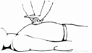 ������������ �����������������