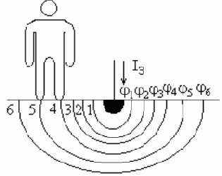 ������������ �����������������