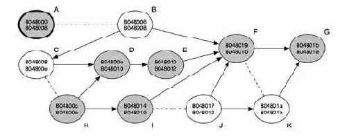 фрагмент программы, защищенной протектором armadillo