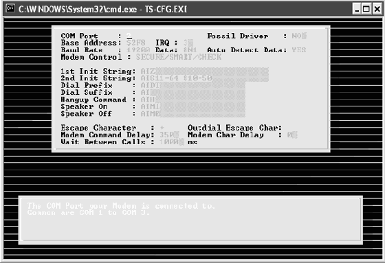 ����������: ���������������� ����������� THC-SCAN