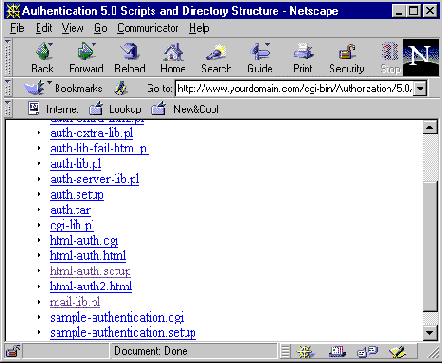 ��������� ������� ������������ ��� ��������� � ��������� CGI-��������.