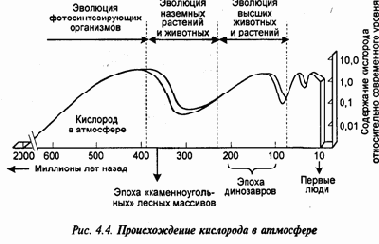������ ���������
