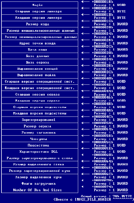 IMAGE_OPTIONAL_HEADER