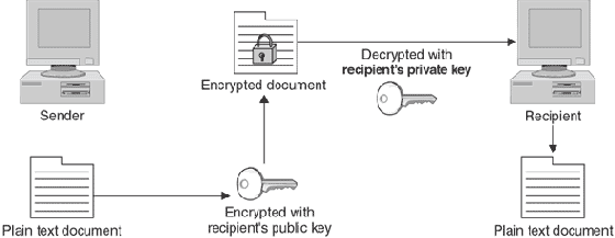 ���� ������������