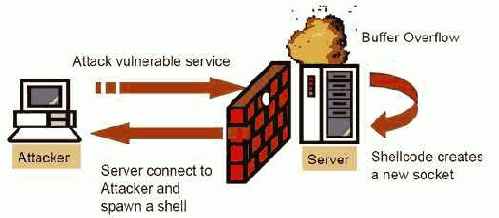 Reverse exploit или если гора не идет к Магомету…