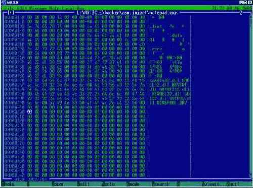 ���� ��������?