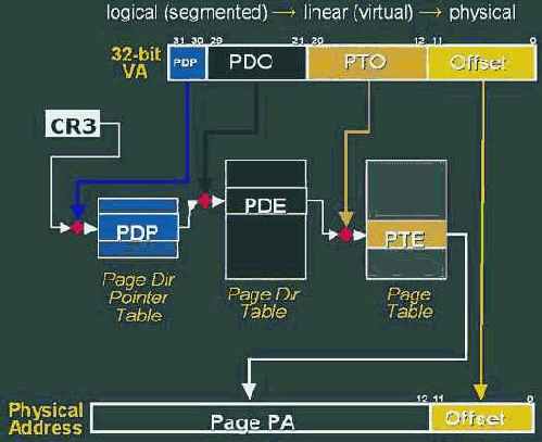 Несмотря на все усилия, вырытые
