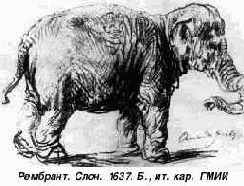 Зарисовки животных