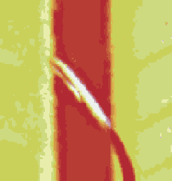 ������������� ����������� �������� Adobe PDF