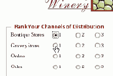 Использование флажков и переключателей