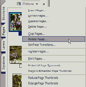 Настройка просмотра слайдов