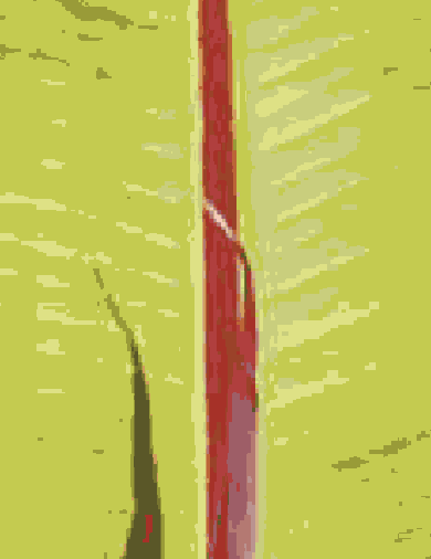 ��������� ����� �������� ����������� � ����������� ���������������� ��������