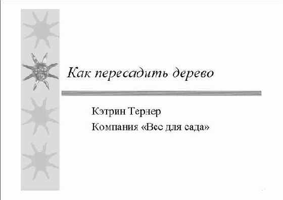 ������ �����������