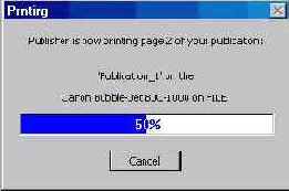 ������ � Microsoft Publisher