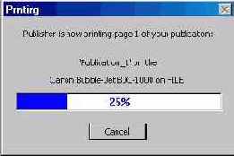 ������ � Microsoft Publisher