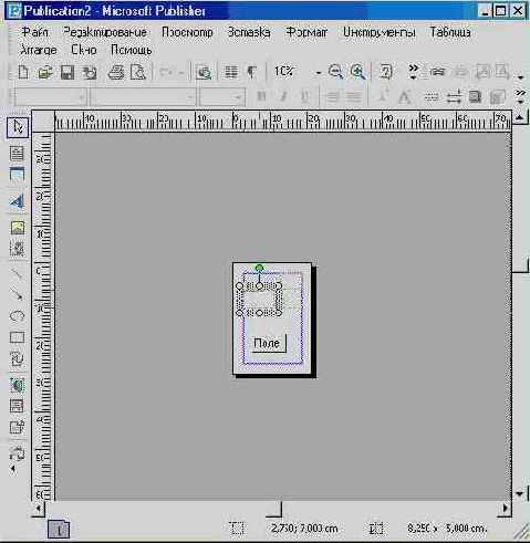 ��������� �1 Microsoft Publisher (II)