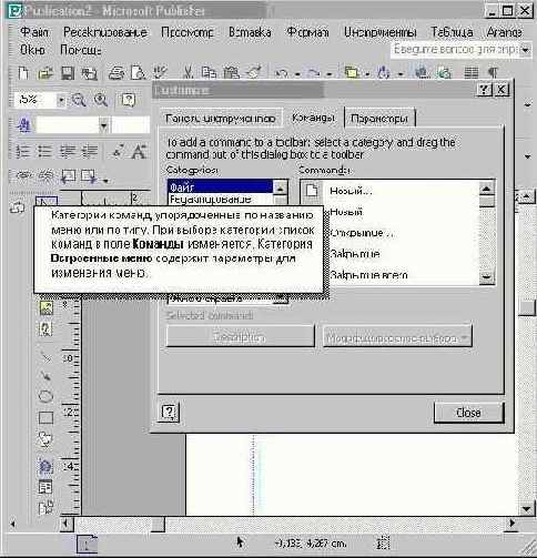 ��������� �1 Microsoft Publisher (I)