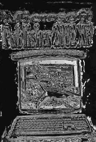 �������� Microsoft Office 2002 XP