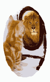 ��������� ������������� ������� I Fit Content to Frame