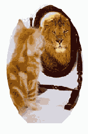 ��������� ������������� ������� Fit Content Proportionally