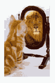 ��������� ���������� ������� Fit Frame to Content