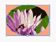 ���� ����� ������� �� ��� ������