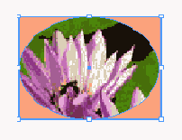 ������������� ���������� �����������