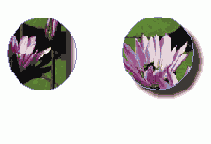 ���������� �������� � ������������