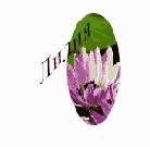 ���������� ��������