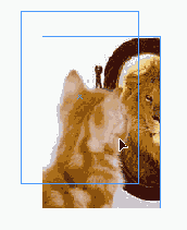 ������������ �������� ������� � ������