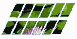 ����������� ������