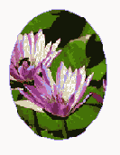 ����������� ������